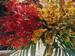 -君庭中餐馆(湘江豪生店)