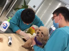 -骐奇宠物诊疗中心(南亭公路店)