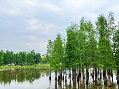 -白鹭湾湿地公园