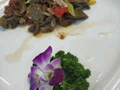 蘑菇牛肉-新疆巴州金丝特餐厅(大钟寺店)