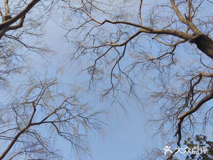 北龙湖湿地公园图片