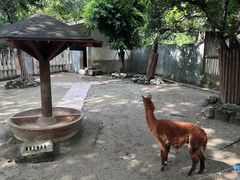 -成都动物园