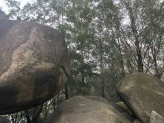-火炉山森林公园