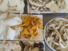 -野菌皇海景野生菌火锅(滨海大道店)