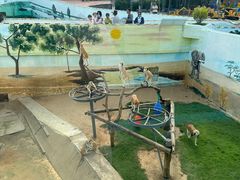 -西霞口神雕山野生动物世界