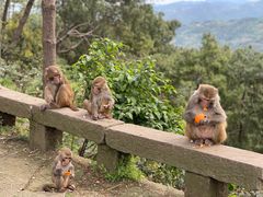 -重庆雨台山风景区
