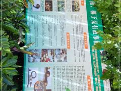-万兴启丰椰子文化园餐厅