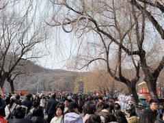 -北山公园