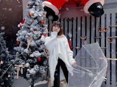 -小淘圆儿·四季口味蛋糕