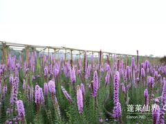 -贵阳蓬莱仙界
