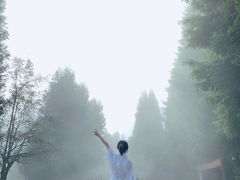 -武陵山森林公园