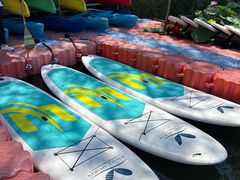 -WhaleSports户外水上运动俱乐部(朝阳公园店)
