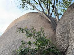 -嵖岈山风景区
