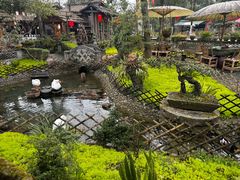 -青城甲(青城山店)