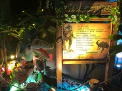 -恐龙探索乐园(磁器口店)