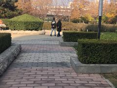 -北极寺公园