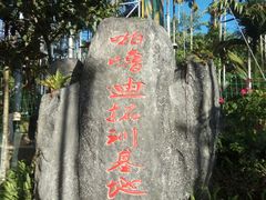 -呀诺达热带雨林