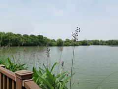 -长兴太湖图影湿地文化园