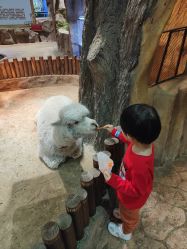 点击看大图 -宝燕乐园(闵行旗舰店)