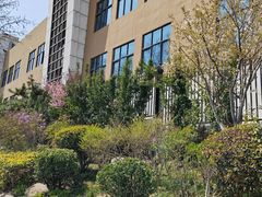 -崂山区第二实验小学