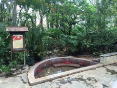 -三亚珠江南田温泉度假区