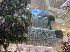 -赛格国际购物中心(小寨店)