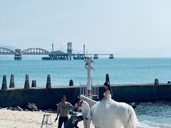 -玫瑰海岸文化旅游度假区