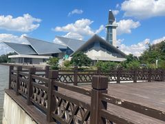 -盐城丹顶鹤湿地生态旅游区