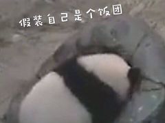 -布歌东京(德基BHG店)