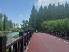 -黄海国家森林公园