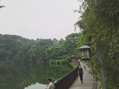 -王借岗森林公园