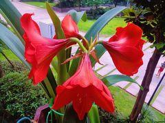 -桃花涧
