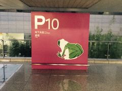 -虹桥火车站-停车场