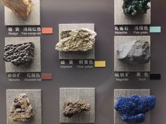 -中国地质博物馆