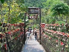 -西涌国际滨海旅游区