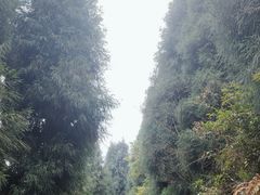 -九峰山