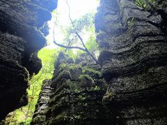 -梭布垭石林景区