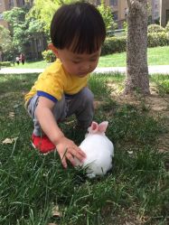 -上美四季动物农场
