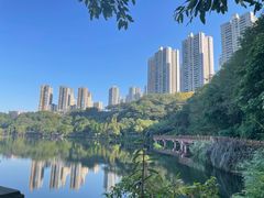 -重庆彩云湖湿地公园