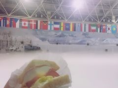 -世界之窗阿尔卑斯冰雪世界