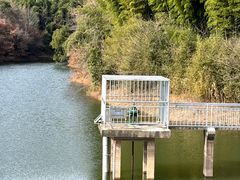 -敬亭山风景名胜区