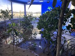 -欢乐海岸海洋奇梦馆