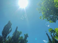 -幽岚山·童话森林