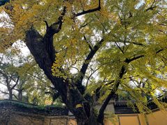 -无锡惠山寺