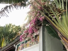 -深圳国际园林花卉博览园