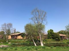 -良渚古城遗址公园