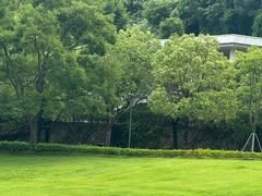-牛岗山公园