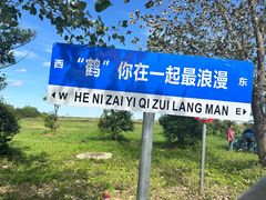 -盐城丹顶鹤湿地生态旅游区