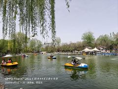 -莲湖公园