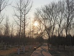 -绿堤公园